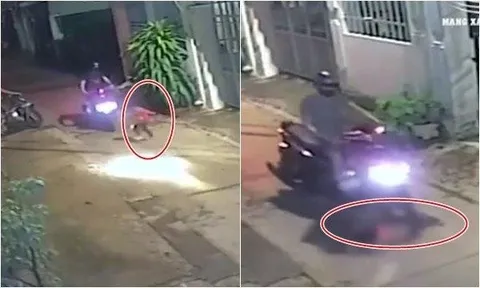 Bất ngờ chạy sang đường, bé gái bị xe máy tông trúng