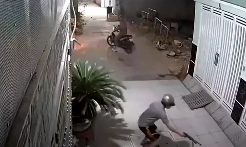 CLIP: 2 gã 'cẩu tặc' quyết đuổi cùng giết tận chú chó lúc nửa đêm, dùng súng điện bắn con vật đến bất động