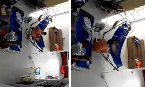Đang đưa võng cho con ngủ thì phát hiện có con rắn to đùng nằm bên dưới, người phụ nữ nhanh chóng hành động khiến ai nấy thót tim