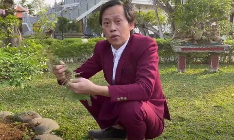 Bị chỉ trích không tôn trọng khán giả cách trả lời của NSƯT Hoài Linh khiến anti-fan á khẩu