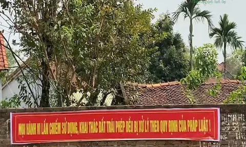 Vĩnh Phúc: Sử dụng đất sai mục đích, sai phạm nối tiếp sai phạm