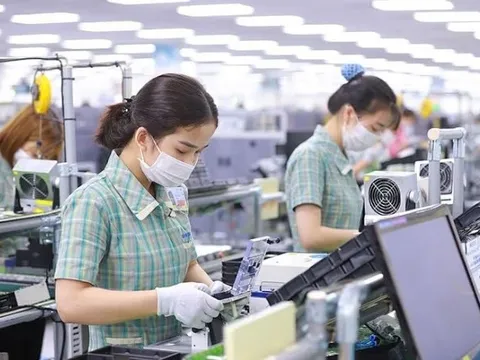 Doanh nghiệp không cung cấp thông tin tiền lương của người lao động bị phạt đến 16 triệu đồng