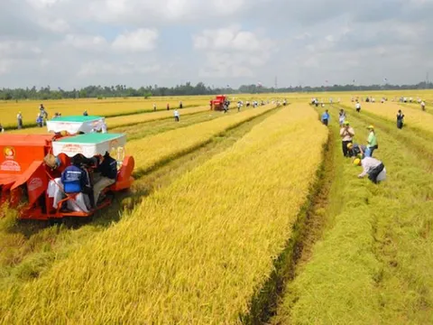 Miễn thuế sử dụng đất nông nghiệp đến hết năm 2030 cho nhiều đối tượng