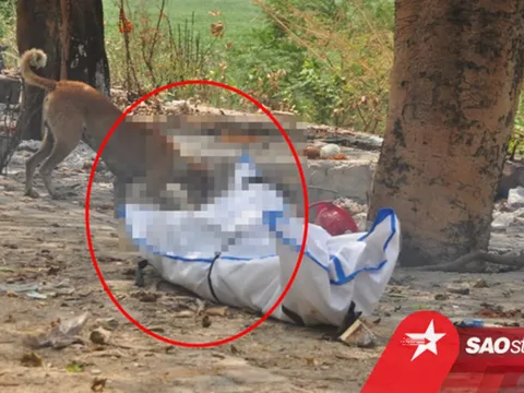 Thi thể thẩm phán qua đời vì Covid-19 bị chó hoang cắn xé