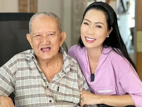 Nghệ sĩ ứng cử đại biểu Hội đồng Nhân dân
