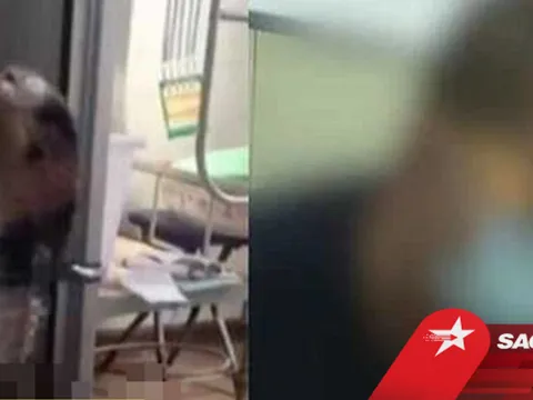 Ôm rắn hổ mang đi ngủ, người đàn ông suýt mất mạng, chủ cửa hàng vật nuôi phản hồi gây choáng