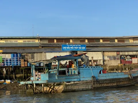 An Giang: Xử phạt 370 triệu đồng, tạm ngưng chợ đầu mối thủy hải sản vì xả thải trái phép