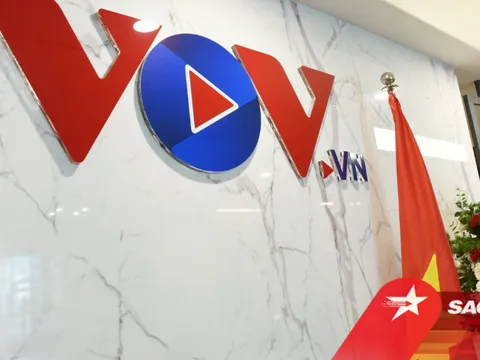 Bà Nguyễn Phương Hằng không liên quan vụ báo điện tử VOV bị tấn công