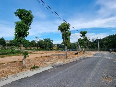 Phú Thọ: 'Phù phép' hàng ngàn m2 đất ao, vườn để phân lô bán nền?