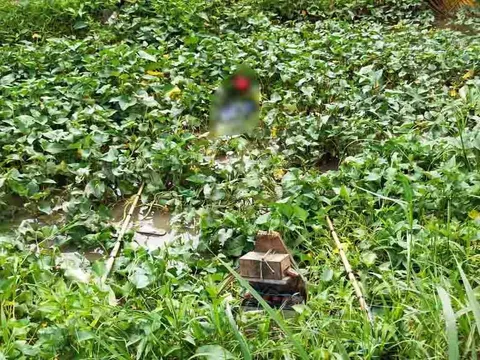 An Giang: Dùng điện chích cá… bị điện giật chết