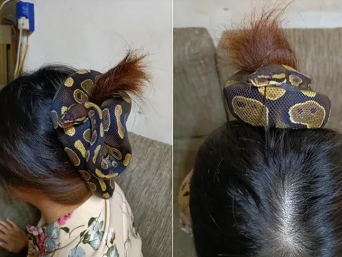 Dùng rắn làm dây buộc tóc, người phụ nữ khiến dân mạng sợ khiếp vía: 'Nhìn thôi đã tê hết da đầu rồi'