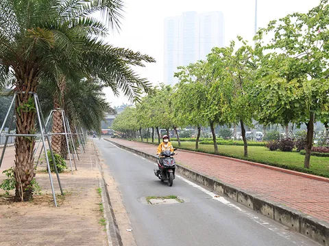 Công ty cây xanh Hà Nội trúng ba gói thầu trị giá gần 2000 tỉ tại Sở Xây dựng TP. Hà Nội chỉ trong một ngày