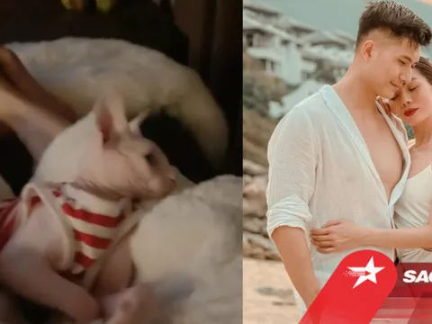 Nửa đêm, Lệ Quyên công khai đăng ảnh 'giường chiếu', bằng chứng sống chung với Lâm Bảo Châu đây rồi!