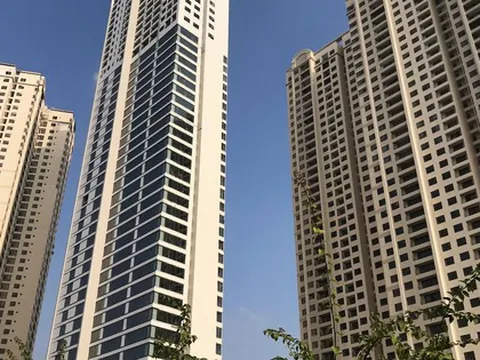 Tiền lãi bán chung cư D'Capitale của Tân Hoàng Minh bị ‘tuồn’ đi đâu?