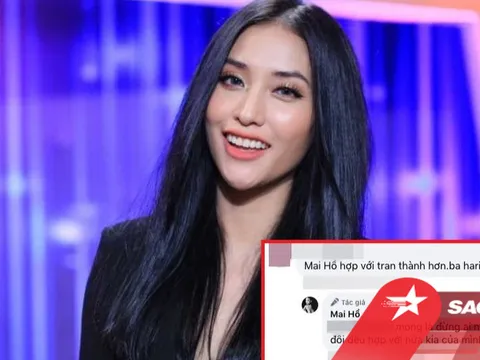 Mai Hồ đáp trả cực gắt khi netizen nhắc đến Trấn Thành và Hari Won