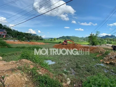 Thanh Hóa: Ngang nhiên san lấp mặt bằng cây xăng khi chưa đủ thủ tục