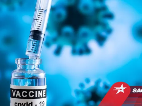 Các phản ứng phụ thường gặp và hiếm gặp sau khi tiêm vaccine Covid-19