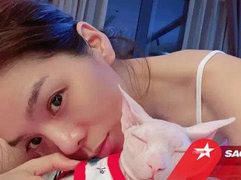 Lệ Quyên đòi 'tát méo mỏ' anti-fan vì cho rằng suốt ngày đăng bài cà khịa 'ai đó'