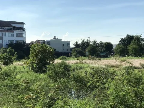 Quảng Ngãi: Đất bỏ hoang giữa thành phố!