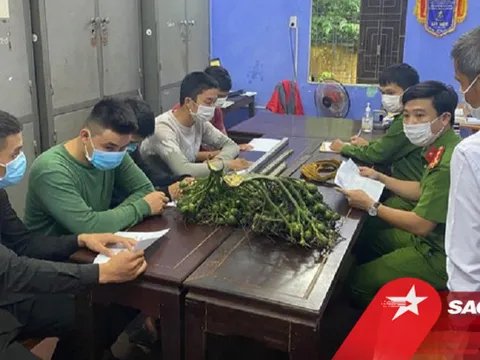 Đi ăn trộm nhưng bất thành, nhóm 'cau tặc' quay lại hành hung chủ nhà