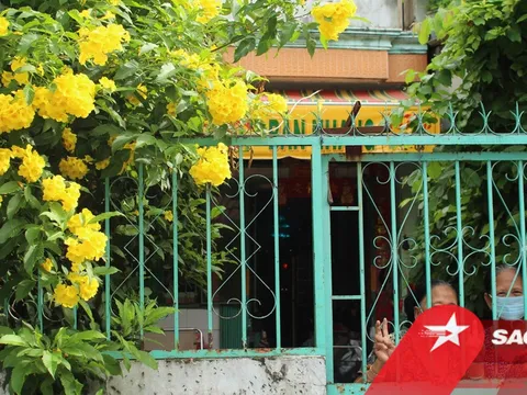 Người dân TP.HCM mong chờ ngày được dỡ rào phong tỏa: 'Đời sống yên vui là ... đời 'bình thường mới'
