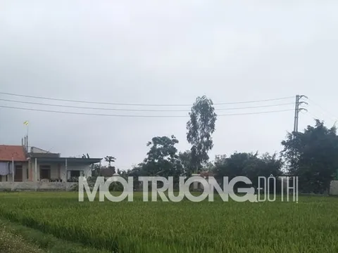 Nghệ An: Vụ việc hàng trăm ngôi nhà xây dựng trái phép đến bao giờ được xử lý?
