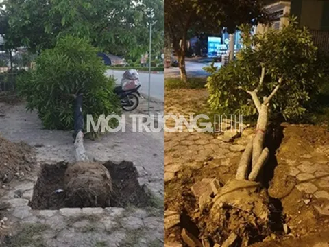 Hà Tĩnh: Bất cập dự án chỉnh trang đô thị gây lãng phí ngân sách