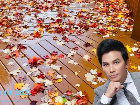 Ca sĩ Mạnh Quỳnh phản hồi về những đồn đoán kiện tụng: 'Cho Quỳnh xin chút yên lặng của cuộc đời này'
