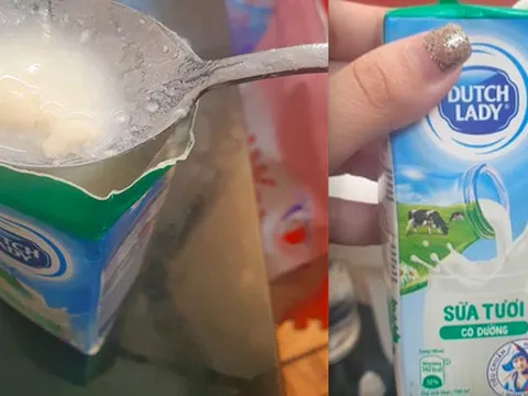Vụ sữa Dutch Lady vón cục, bốc mùi hôi: Nhà sản xuất ‘đổ lỗi’ cho côn trùng?