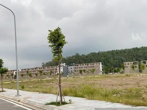 Bộ Xây dựng yêu cầu các tỉnh công khai loạt quy hoạch ngăn chặn “sốt” đất