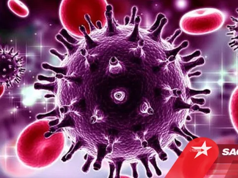 Phát hiện virus corona mới lây nhiễm sang người