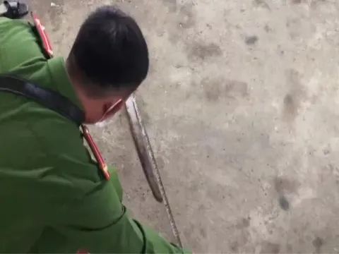 Cậu ruột ném dao vô tình trúng cổ cháu gái 4 tuổi gây tử vong