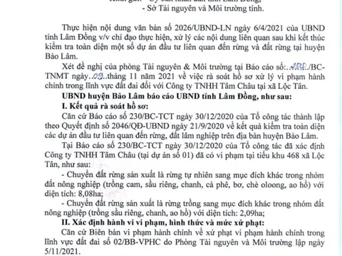 Lâm Đồng: Kiến nghị xử lý Cty Tâm Châu sử dụng đất sai mục đích