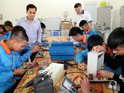 TP.HCM: 5 trường cao đẳng và trung cấp được dạy và học trực tiếp