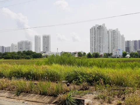 TP HCM: Huỷ bỏ 108 dự án không thực hiện đúng kế hoạch sử dụng đất