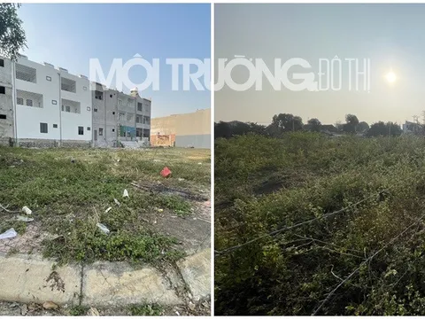 Nghệ An: Nếu chủ đầu tư cố tình “ngâm” đất, thì nên thu hồi diện tích chậm đưa vào sử dụng?