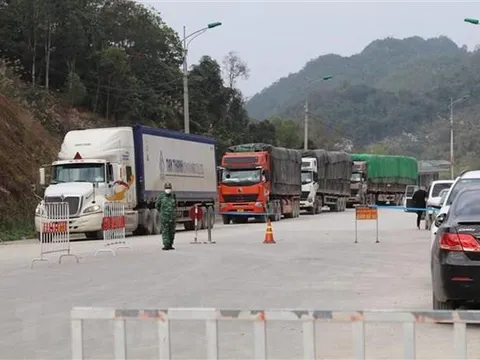 Hơn 100 xe nông sản được thông quan qua cửa khẩu ở Lạng Sơn trong 1 ngày