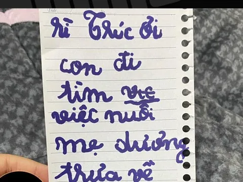 Thương mẹ thành F0 phải ở nhà không có tiền, bé trai 'quyết chí' lập nghiệp với một công việc đặc biệt