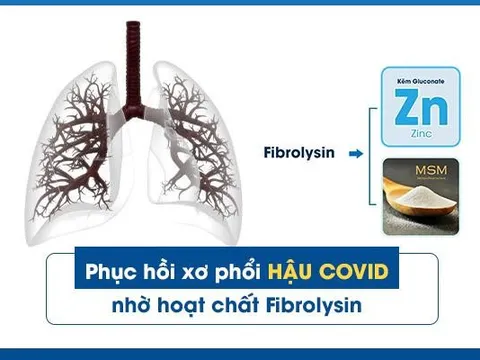 Phục hồi xơ phổi hậu Covid nhờ hoạt chất Fibrolysin