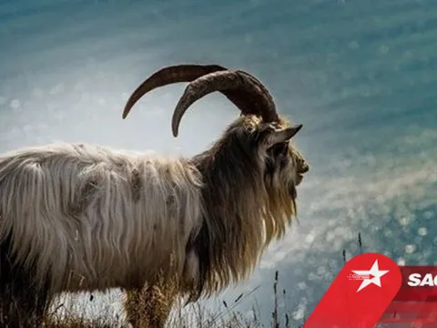 4 con giáp này có nghị lực hơn người, sớm muộn gì cũng làm nên đại sự, giàu sang phú quý
