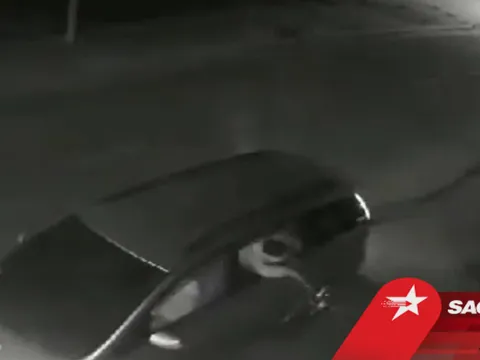 Clip: Nhóm người đi ô tô bắn điện trộm chó nhà dân ở ven Sài Gòn, toàn bộ diễn biến chỉ trong 20 giây