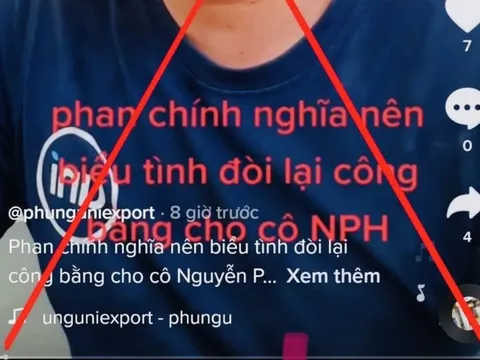 Xử phạt TikToker kêu gọi 'fan chính nghĩa' biểu tình sau khi bà Phương Hằng bị bắt
