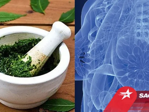 Người phụ nữ vỡ loét đầu ngực vì đắp thuốc nam chữa ung thư vú
