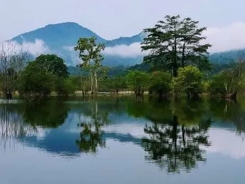 Mâu thuẫn trong lúc chăn nuôi trâu bò, đối tượng đâm 1 người tử vong ở vườn quốc gia