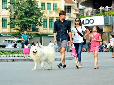 Hà Nội cấm mang vật nuôi, loa công suất lớn vào phố đi bộ Hồ Gươm từ 27/5