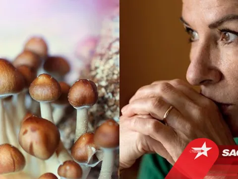 Hợp chất gây ảo giác trong nấm ma thuật giúp 'khai thông' bộ não của người bị trầm cảm