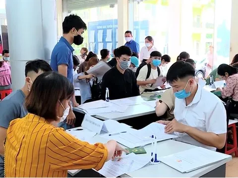 Chậm đóng tiền bảo hiểm, doanh nghiệp bị phạt thế nào?