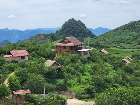 Mộc Châu, Sơn La: Dựng gần chục ngôi nhà trái phép mà chính quyền vẫn không biết