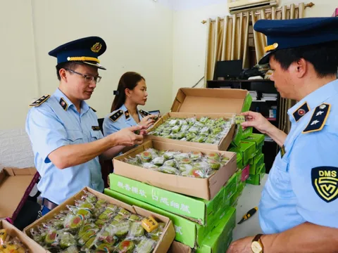 Hàng nghìn bánh trung thu nhập lậu, giá rẻ bị thu giữ tại một số tỉnh thành