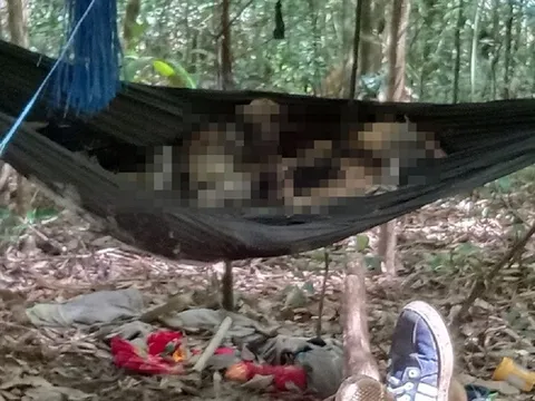 Vụ 2 bộ xương khô nằm trên võng giữa rừng: Nạn nhân có biểu hiện trầm cảm và mê tín dị đoan